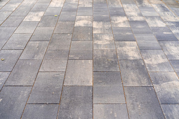 paving concrete tiles from which the pavement is laid. Background, abstraction, gray.