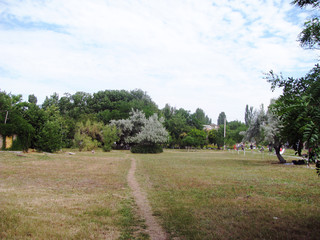 Fototapeta premium The path leading through the meadow in the park complex