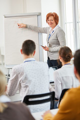 Naklejka na ściany i meble Lecturer makes a business presentation