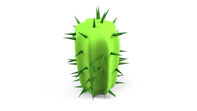 Spines grow on cactus 3d render video, on white background, cartoon cactus