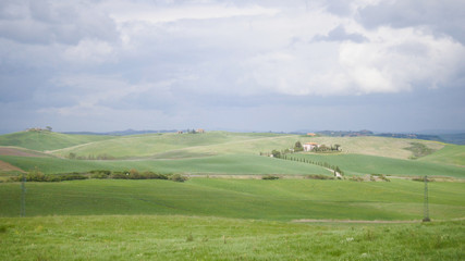 Fototapeta na wymiar A fresh green field in Toskana, Italy