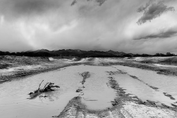 Riserva la Baraggia Biella