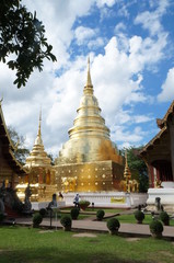 Fototapeta premium temple in thailand