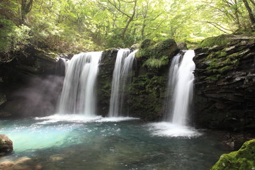 Fototapeta na wymiar 山中の美しい滝