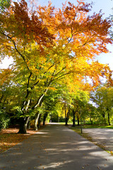 Naklejka premium Paseo por los parque de Berlín