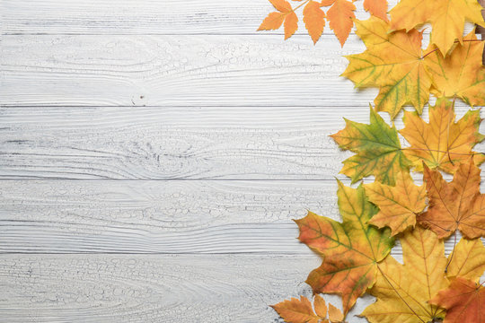 Autumn border with leaves on white wood background.