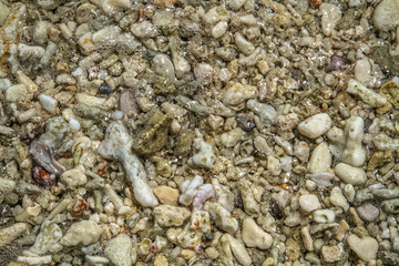 The waves wash broken corals on the beach