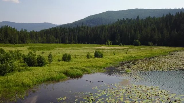 passing over the green field of grass by the lake. going forward, slow and low. aerial(drone) footage. v08