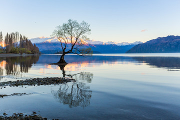 landscape photograph of the lone tree at Lake Wanaka in the South Island of New Zealand during...