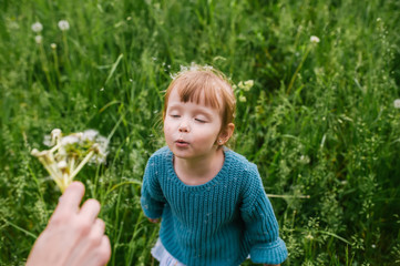 Little girl blowing dandelion outdoors.