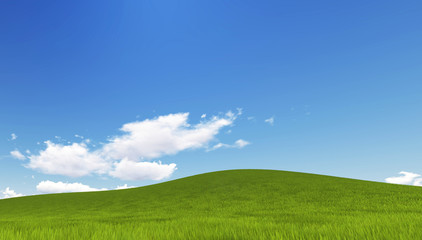 Wireframe Building on green grass and blue sky. Extremely high detailed quality render. Copyspace. Green landscapes collection