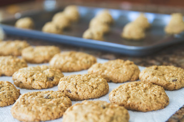 Fresh warm homemade cookies cool right out of the oven; unbaked cookies in a pan blurred in the background