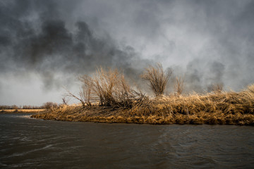 Fototapeta na wymiar heavy black smoke from burnt dry grass and trees on meadows as environmental problem