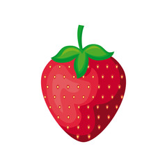 healthy strawberry fruit and slice