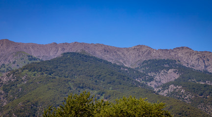 Mountain landscape with treetop on the foreground