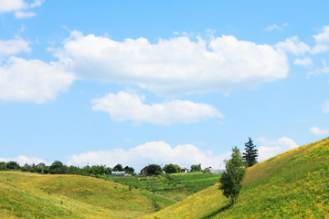 beautiful summer landscape with green field and blue sky