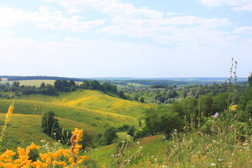 Obraz premium beautiful summer landscape with green field and blue sky