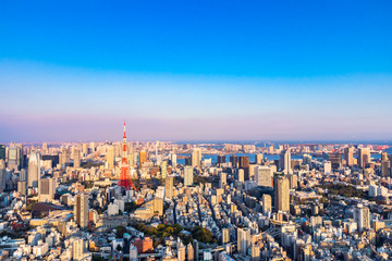 Fototapeta na wymiar View of Tokyo is the modern capital of Japan.