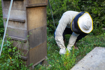 Beekeper at his work. Wooden honeycomb with bees and honey. Nature, insects. Sweet. Apiculture. Beeswax. Apiarist working. Beekeeping in nature. Bee farming in Spain. Ecology apiaring. 
