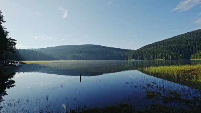 Montenegro, Wonderful black lake or big lake in foggy rain mood in the evening in durmitor national park nature landscape