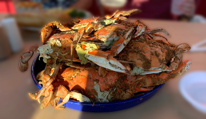 Steamed Crabs