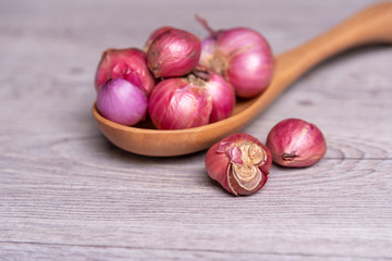 Red Onion. Shallot in wooden spoon