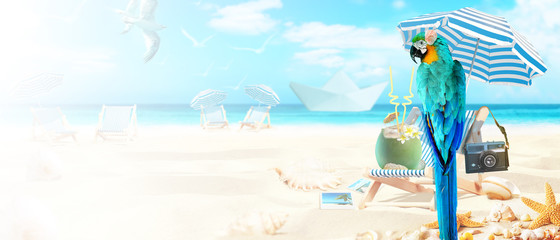 Papagei mit Fotoapparat im Urlaub am Strand