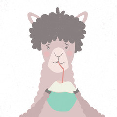 Lama drinks a cocktail with coconut.