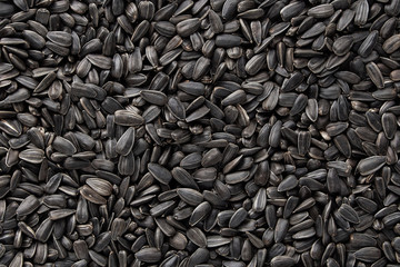 Black sunflower seeds. Black sunflower seeds for texture or background. Black sunflower seeds macro close up
