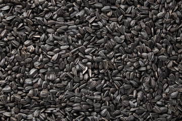 Black sunflower seeds. Black sunflower seeds for texture or background. Black sunflower seeds macro close up