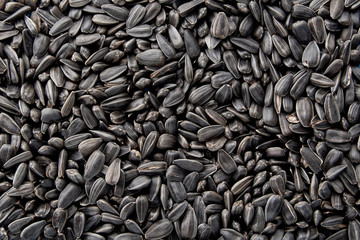 Black sunflower seeds. Black sunflower seeds for texture or background. Black sunflower seeds macro close up