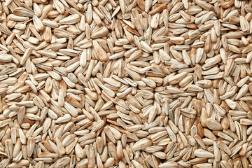 White sunflower seeds. White  sunflower seeds for texture or background. White  sunflower seeds macro close up