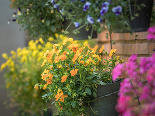 Beautiful spring floral arranjament on a wall of the house