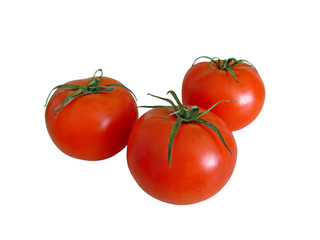 Red ripe tomatoes isolated on a white background