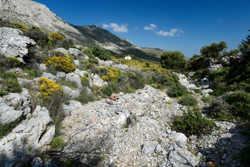 Landschaft auf Kalymnos
