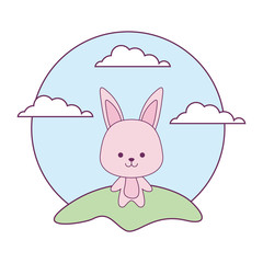 cute rabbit animal in landscape