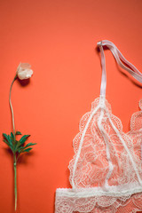 White lace bra on a coral background. Female underwear for the bride with delicate flowers on an orange background.