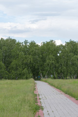walking path in the park