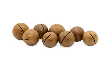 Macadamia nut isolated on white background.