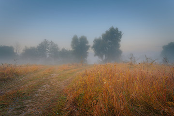 Beautiful foggy meadow. Morning fog over rural road through dry grass field and trees silhouettes at early autumn sunrise.