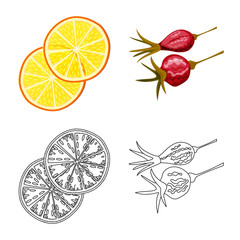 Isolated object of food and raw symbol. Collection of food and nature stock vector illustration.