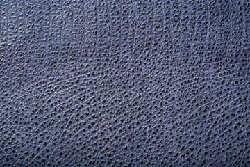 Blue textured leather reptiles, used texture for the background. Lizard or crocodile skin