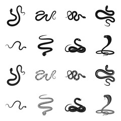 Vector illustration of mammal and danger icon. Set of mammal and medicine vector icon for stock.