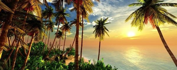 Beach with palm trees at sunset, tropical coast with palm trees under the setting sun