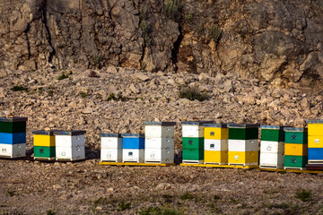 Honey colorful beehives in a row in nature on the island Brac in Croatia