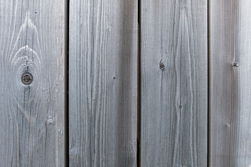 Fototapeta premium background of a dry tree. texture of cracked wood. copy space