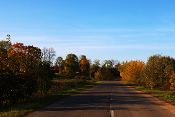 View of the road and trees on a sunny clear day