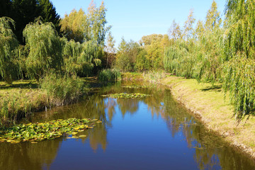 Fototapeta na wymiar Pond surrounded by trees with a reflection in the water on a sunny day, background
