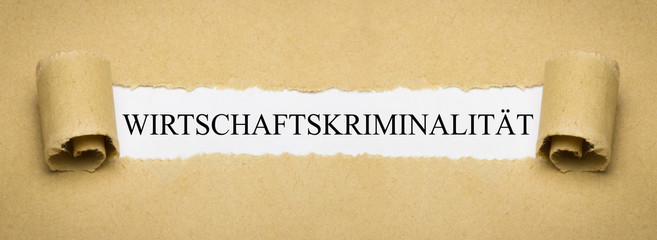 Wirtschaftskriminalität