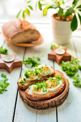 sandwiches with eggs